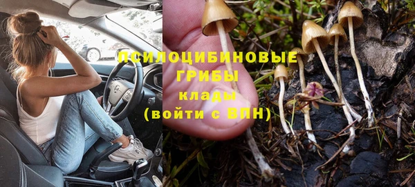 таблы Алзамай
