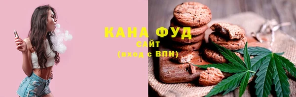 индика Михайлов