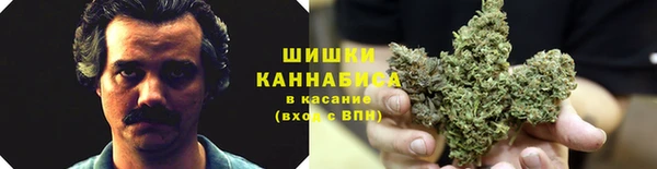 альфа пвп Медвежьегорск