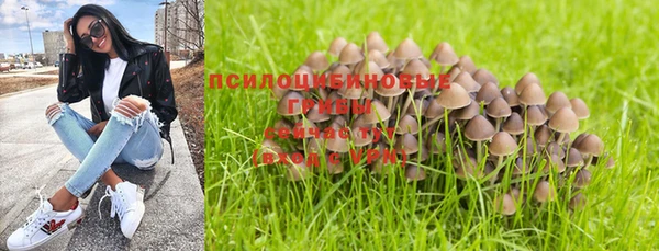 индика Михайлов