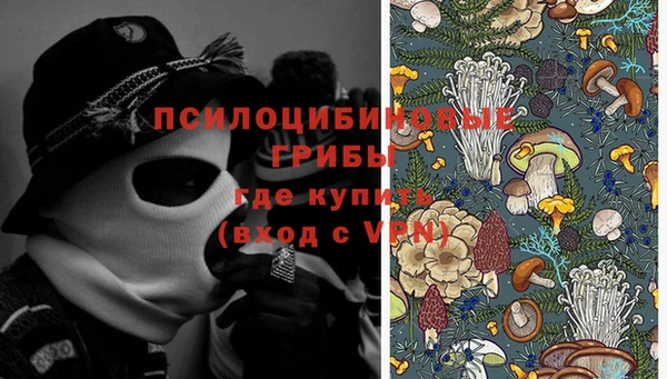 PSILOCYBIN Алексин