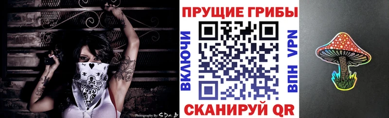 Псилоцибиновые грибы Psilocybe  кракен рабочий сайт  Алексин 